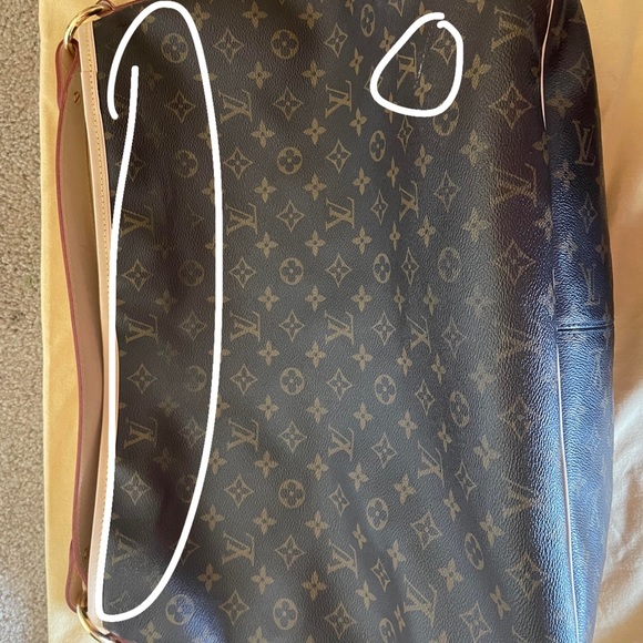 Louis Vuitton Delightful GM - Picture 16 of 16